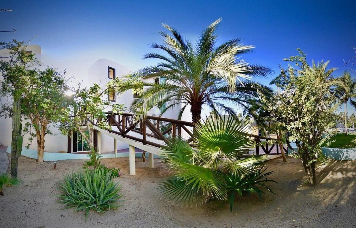 San José del Cabo Sm Apartments מראה חיצוני תמונה